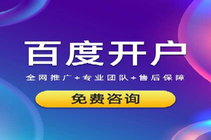竞价账户优化：成功企业的广告策略揭秘
